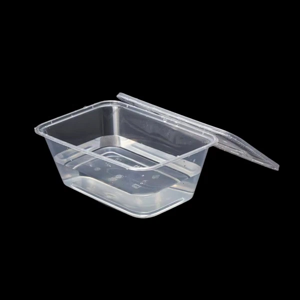 Disposable Rectangle Take Away Food Plastic Container With