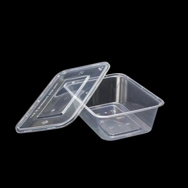 Disposable Rectangle Take Away Food Plastic Container With