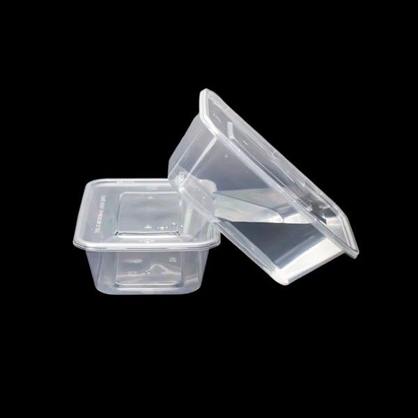 Disposable Rectangle Take Away Food Plastic Container With