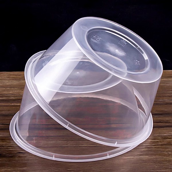 Box Mounted Transparent Plastic Lunch Box With Lid